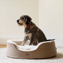Manhattan Pet Bed